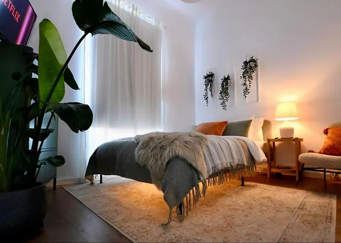 Cozy On Calea Victoriei Apartment