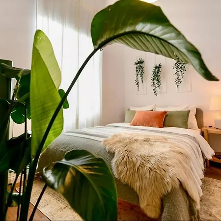 Cozy On Calea Victoriei * Boekarest