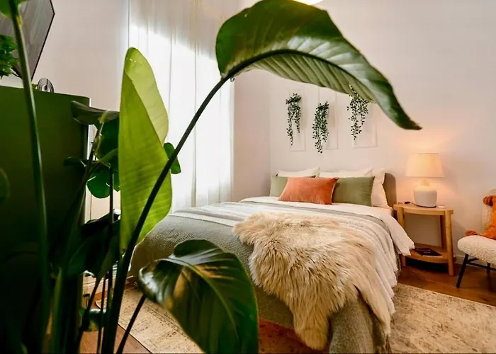 Cozy On Calea Victoriei * ブカレスト